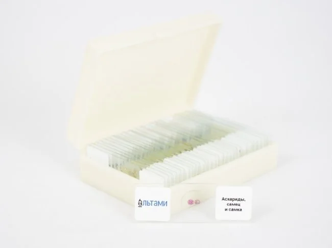 Набор микропрепаратов Альтами "Зоология" (30 стекол)