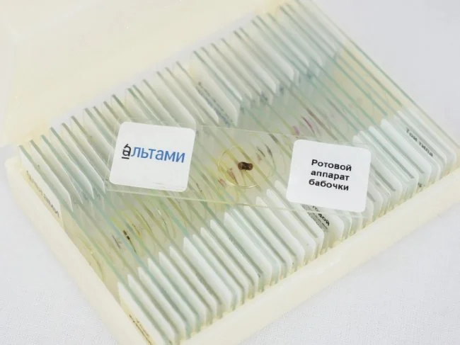 Набор микропрепаратов Альтами "Зоология" (30 стекол)