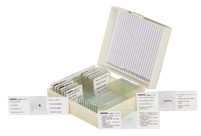 Набор микропрепаратов Konus 10: «Естественные науки» Набор микропрепаратов Konus 10: «Естественные науки»