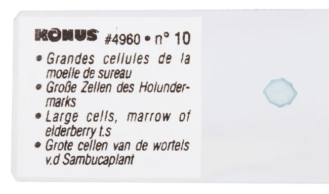 Набор микропрепаратов Konus 10: «Естественные науки» Набор микропрепаратов Konus 10: «Естественные науки»