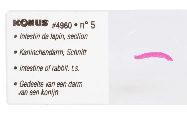 Набор микропрепаратов Konus 10: «Естественные науки» Набор микропрепаратов Konus 10: «Естественные науки»