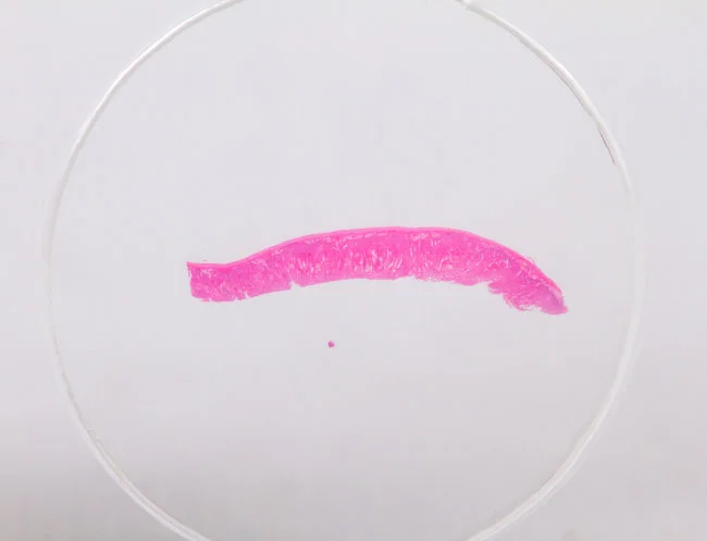 Набор микропрепаратов Konus 10: «Естественные науки» Набор микропрепаратов Konus 10: «Естественные науки»