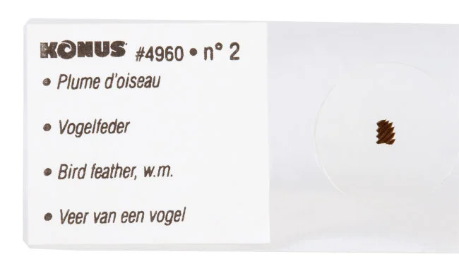 Набор микропрепаратов Konus 10: «Естественные науки» Набор микропрепаратов Konus 10: «Естественные науки»