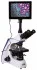 Микроскоп цифровой Levenhuk MED D35T LCD, тринокулярный Микроскоп цифровой Levenhuk MED D35T LCD, тринокулярный