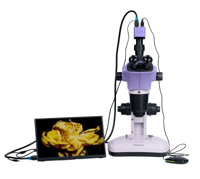 Микроскоп стереоскопический цифровой MAGUS Stereo D9T LCD