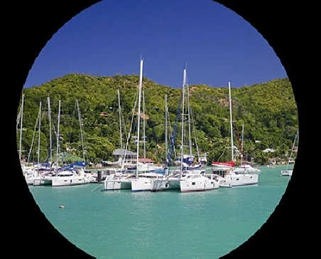 Бинокль Pentax ZD 10x43 ED