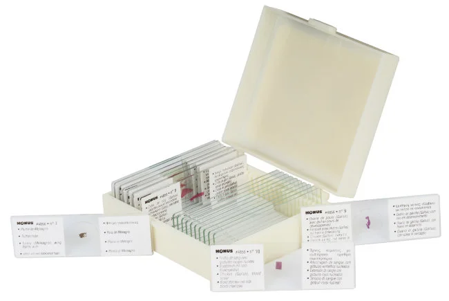 Набор микропрепаратов Konus 10: «Ящерицы, змеи и птицы»