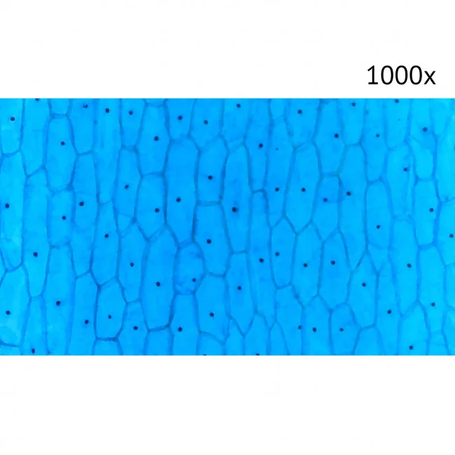 Цифровой микроскоп Микмед LCD 1000Х 2.0LB