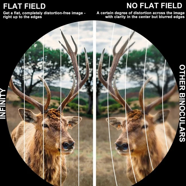 Бинокль Eyeskey Zenith ED 10x42 Бинокль Eyeskey Zenith ED 10x42