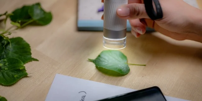 Цифровой микроскоп BeaverLAB M1B (Standard)