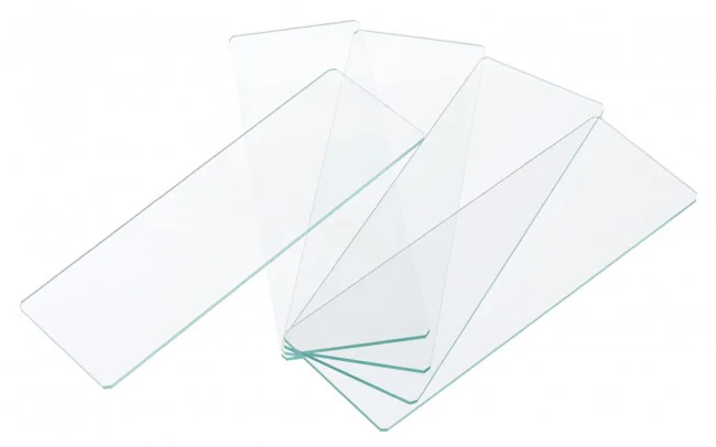 Стекла предметные Levenhuk G50, 50 шт.