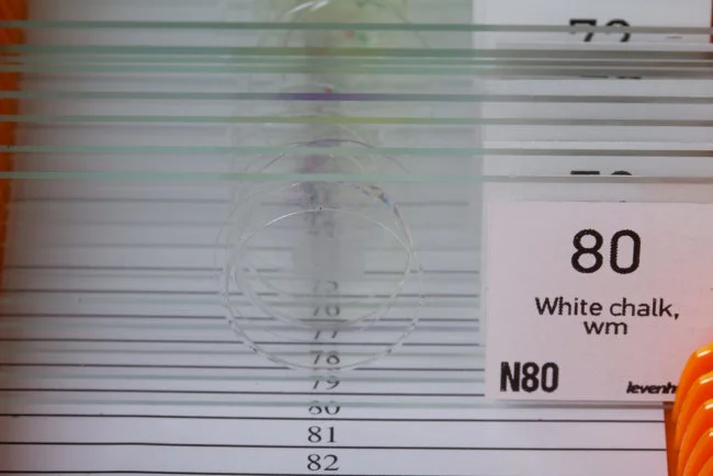 Набор микропрепаратов Levenhuk N80 NG «Увидеть все!»